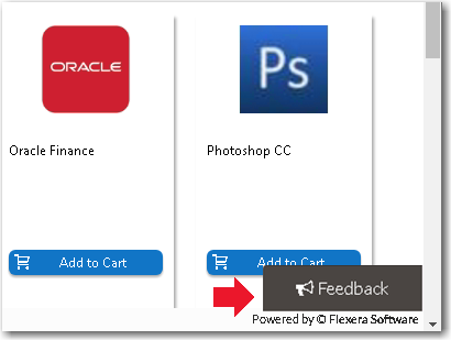 Site Feedback Widget
